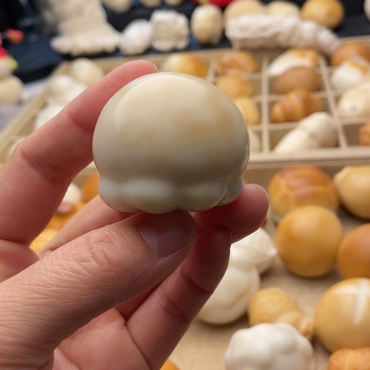 吊坠菩提根/象牙果章鱼牙眼补煎蛋