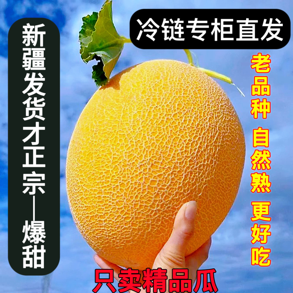 L【京东空运】正宗新疆金色年华挚爱密瓜新鲜脆甜水果