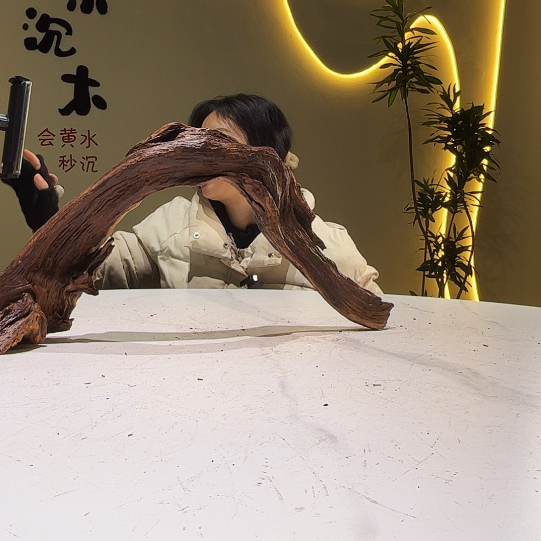 瓦当熠*47 9 22 会黄黑红水953