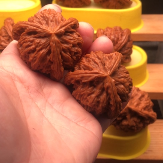 吊坠文玩核桃核桃