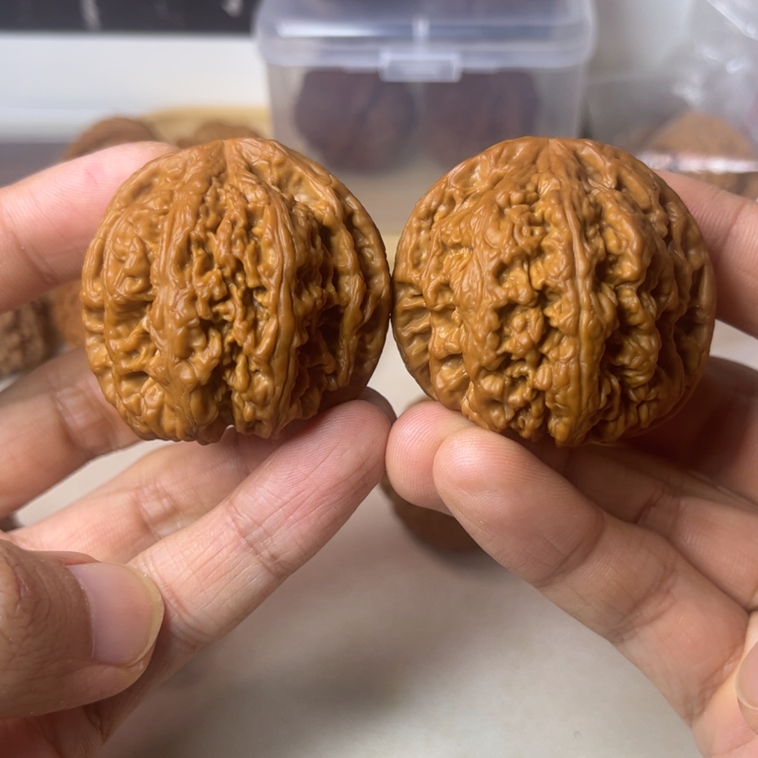 守正核堂，45原桩粗筋