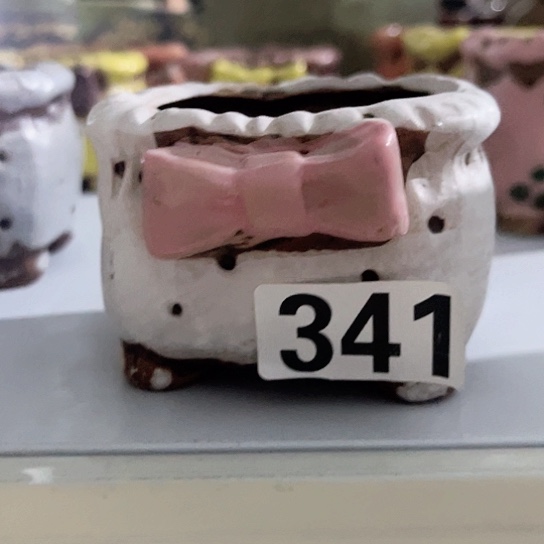 多肉植物花盆花盆