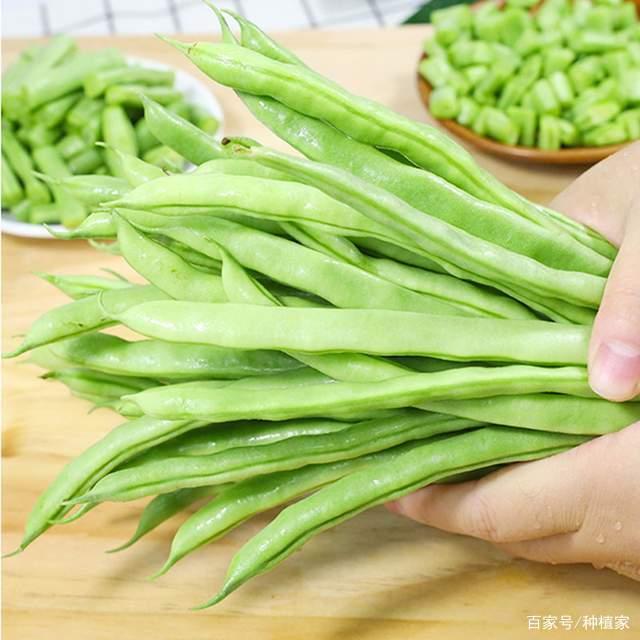 新鲜刀豆 约500g/份