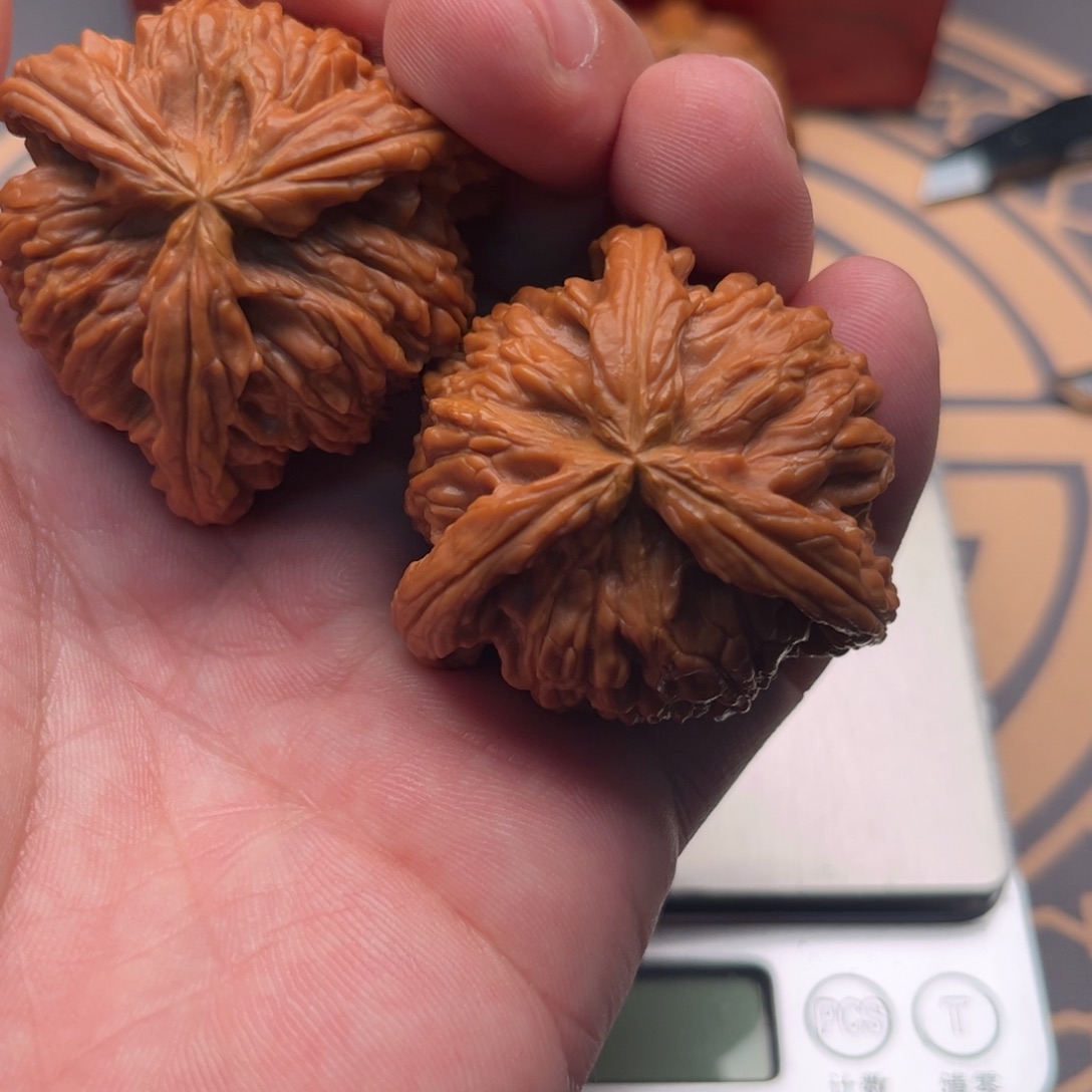 把件文玩核桃白狮子三棱