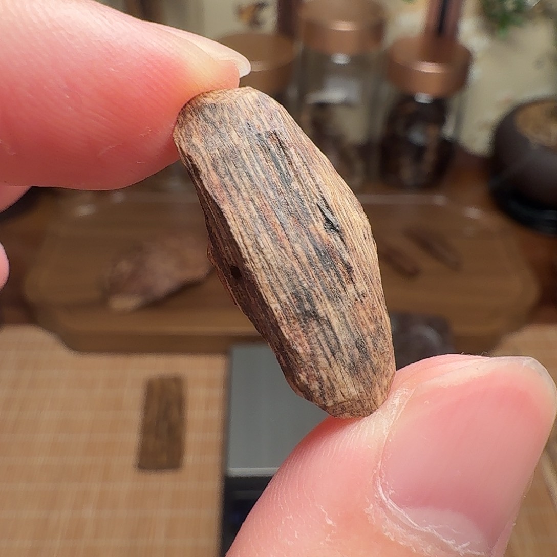 沉香斯里兰卡瓜子