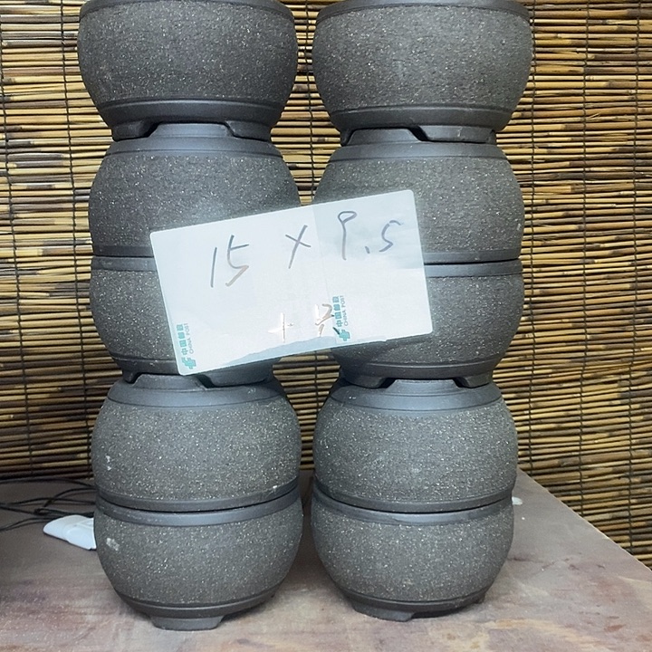 紫砂花盆我在外面