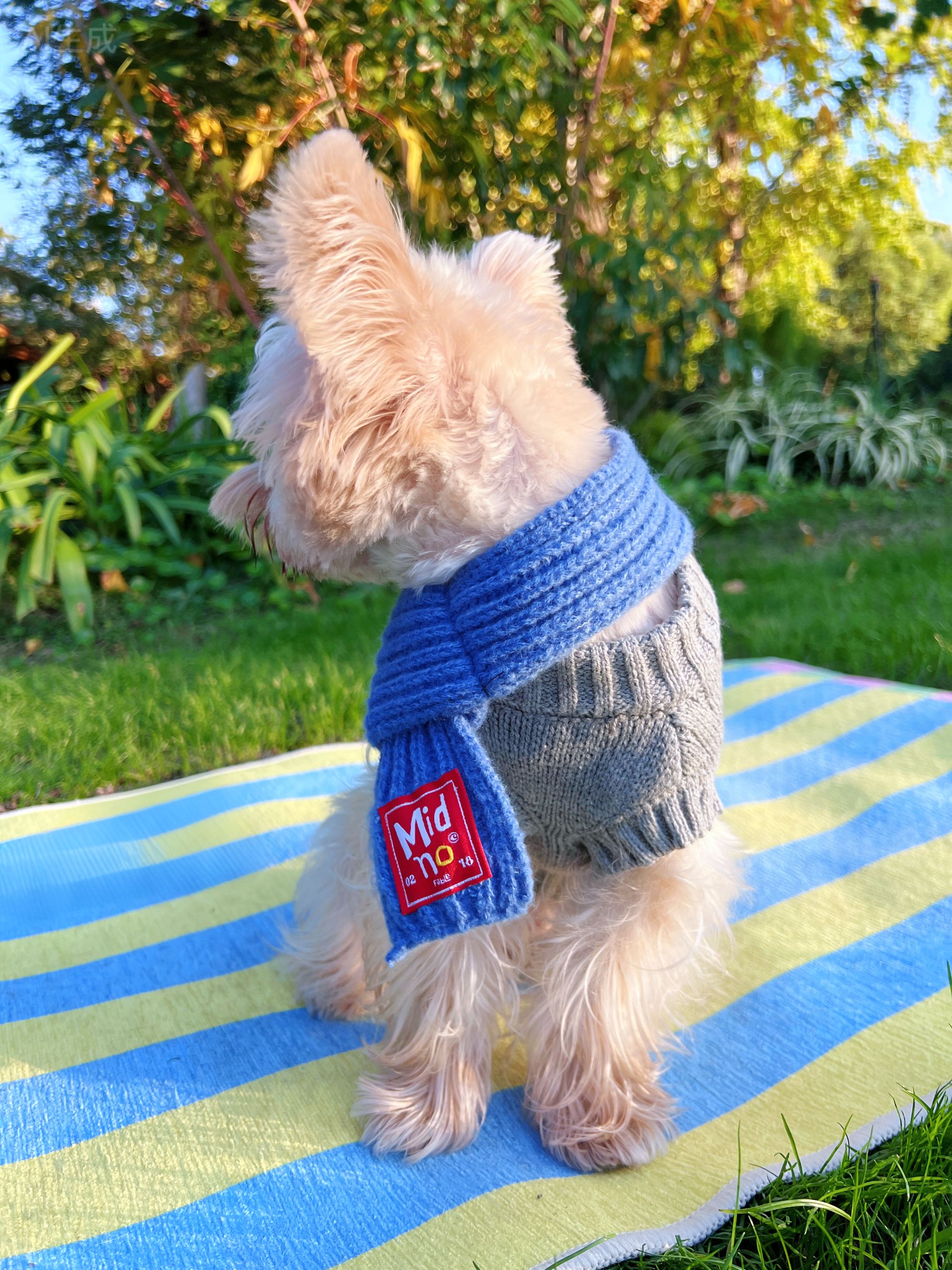 MidnoFaber秋冬款小型犬猫咪宠物保暖背心薄款可爱针织毛衣