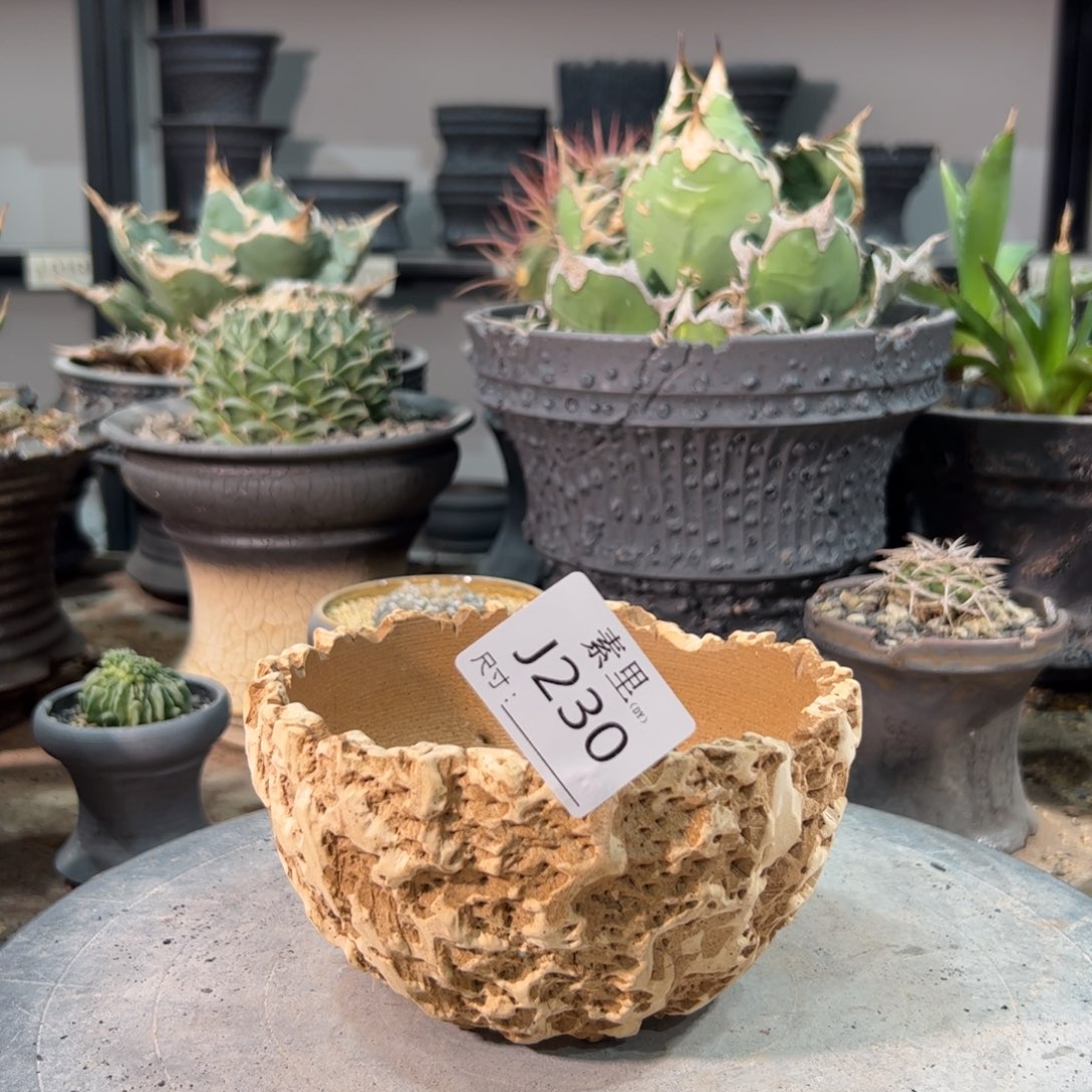 景德镇手工素里内口12.5高8