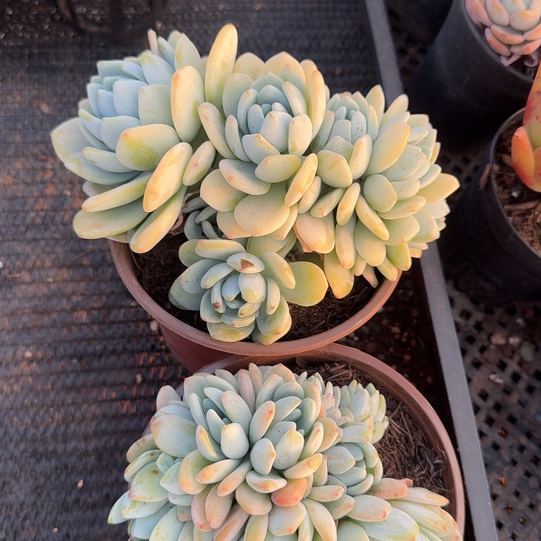 你****干1346466464646464