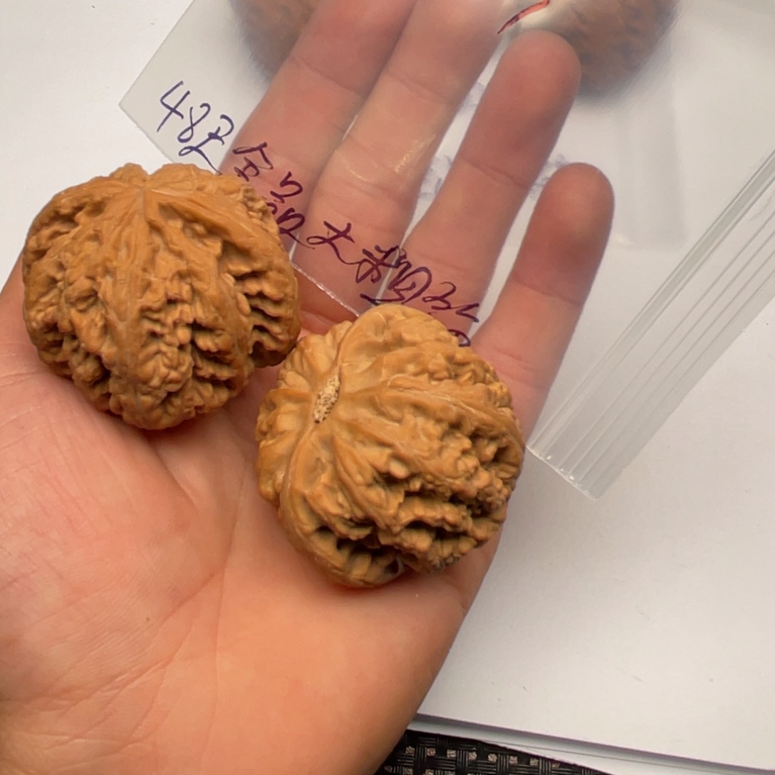 核桃手串/手链033