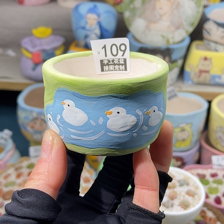 大舅生石花肉锥多肉 109