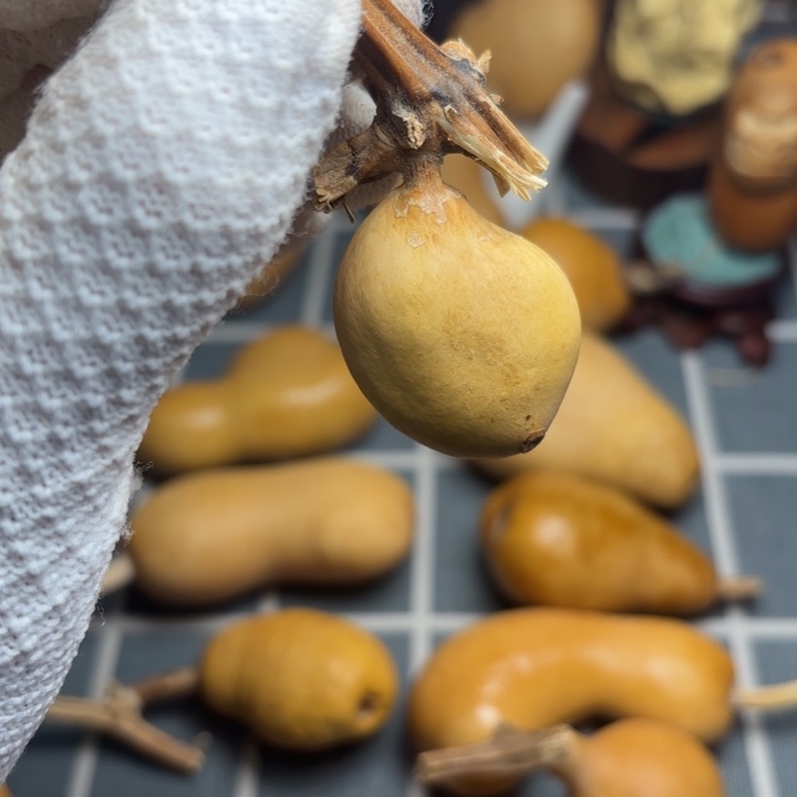 赵***天666666666666666666