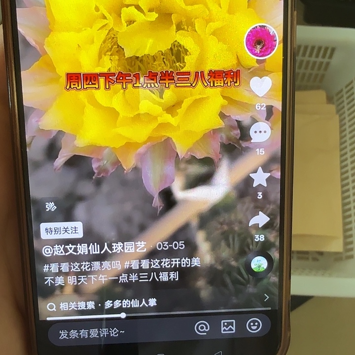 仙人球清库存cc187处理