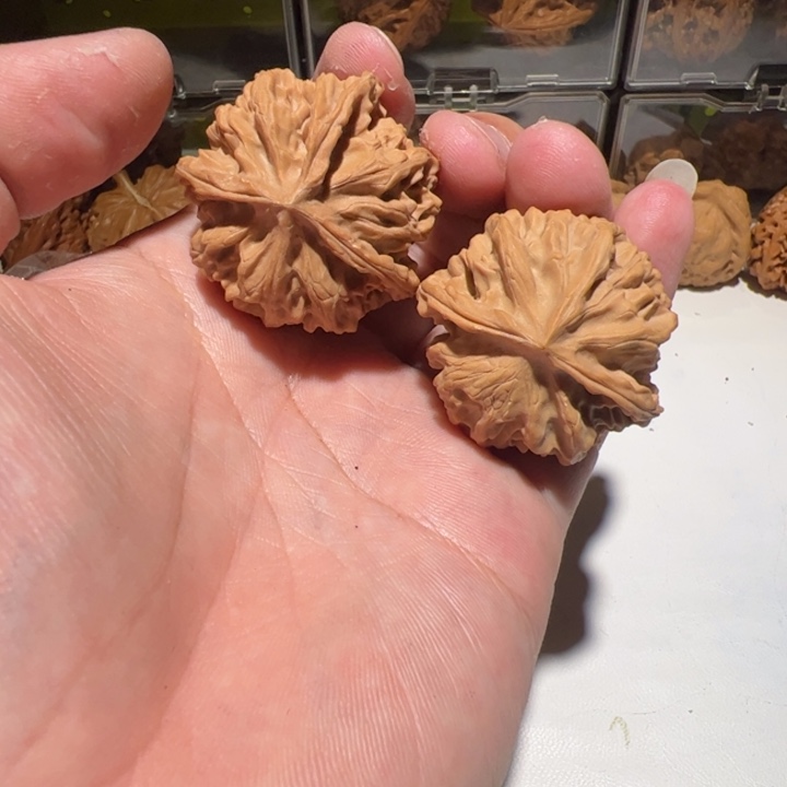 三分天下所有母亲节日快乐、