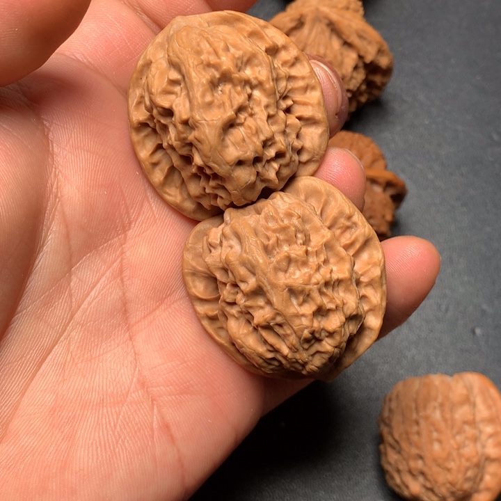 文玩核桃把件37野狼1143