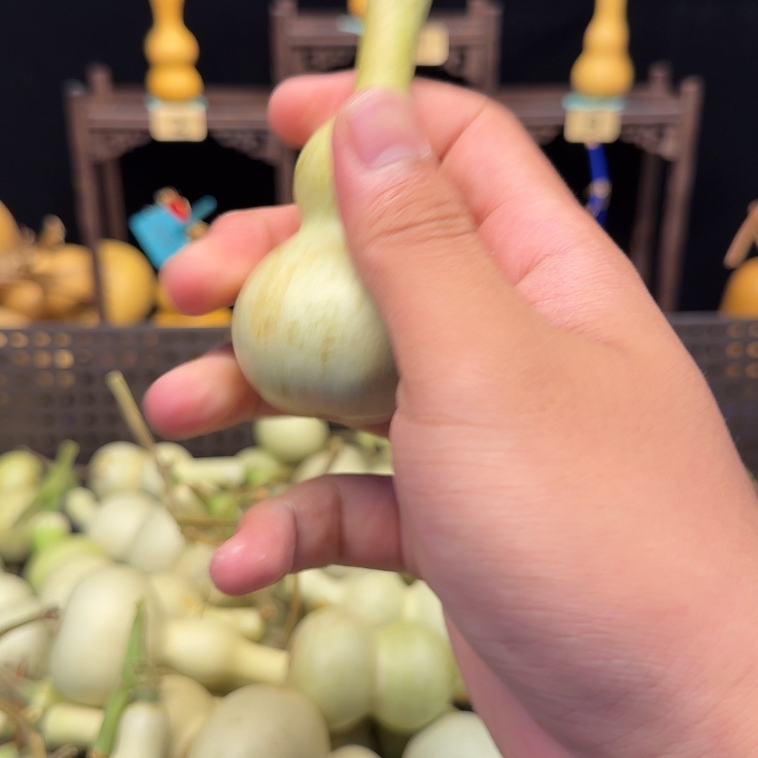 豆***航哈哈哈哈哈哈哈哈