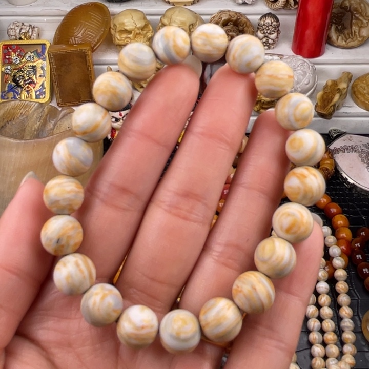 其他驼骨人工养殖10