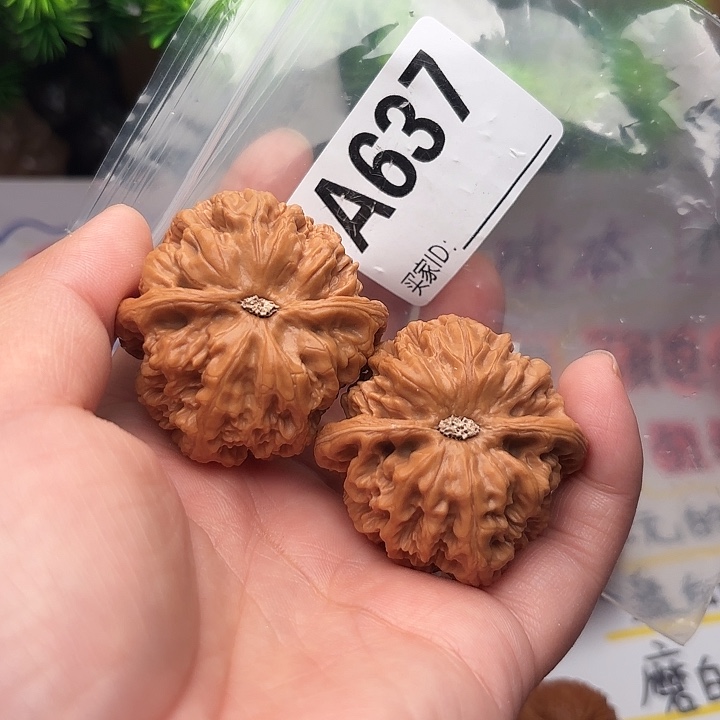 桃核把件核桃大粗粒42