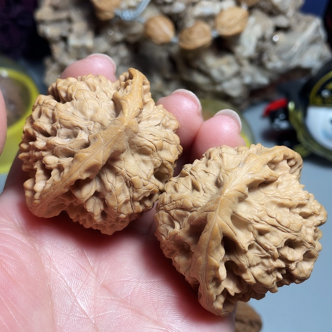 核桃手串/手链精品官帽飞蛇