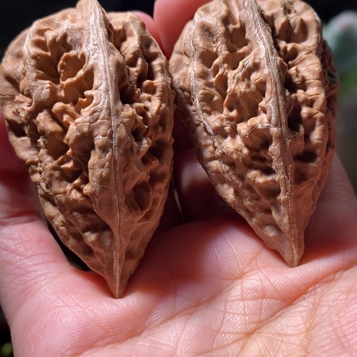 把件文玩核桃东北楸子小路 149