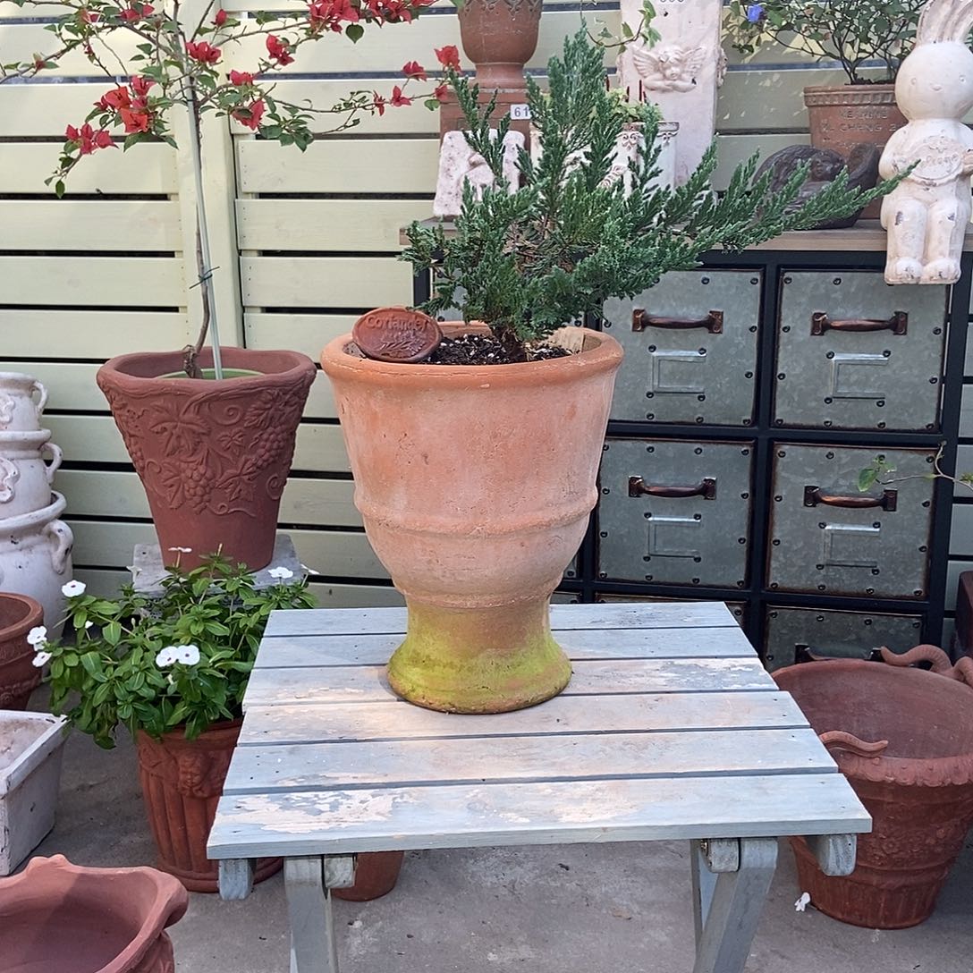 106微瑕福利口19.5高24