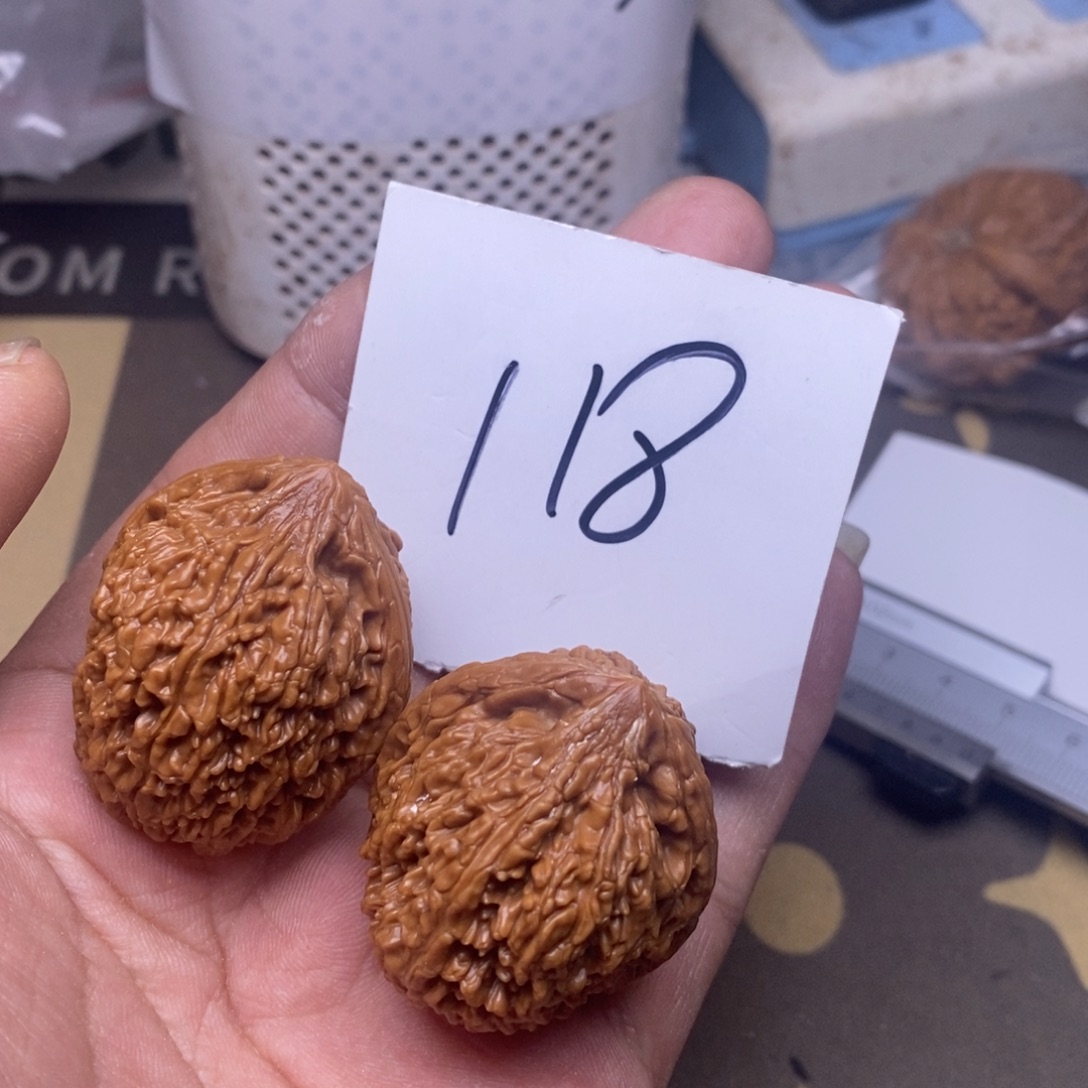 核桃大蒜头尺寸34  118