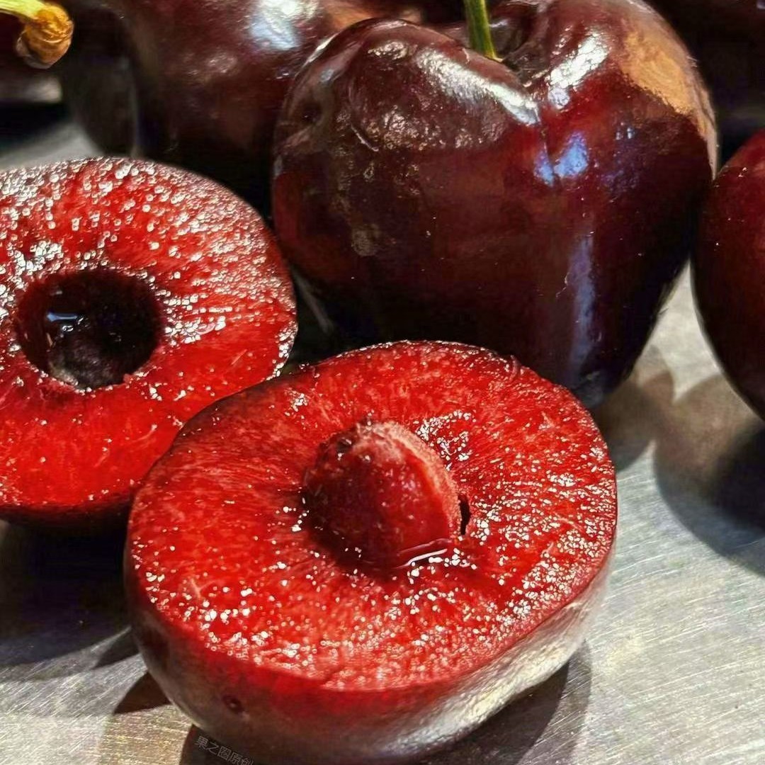 进口海运桑缇娜车厘子2J净重5斤