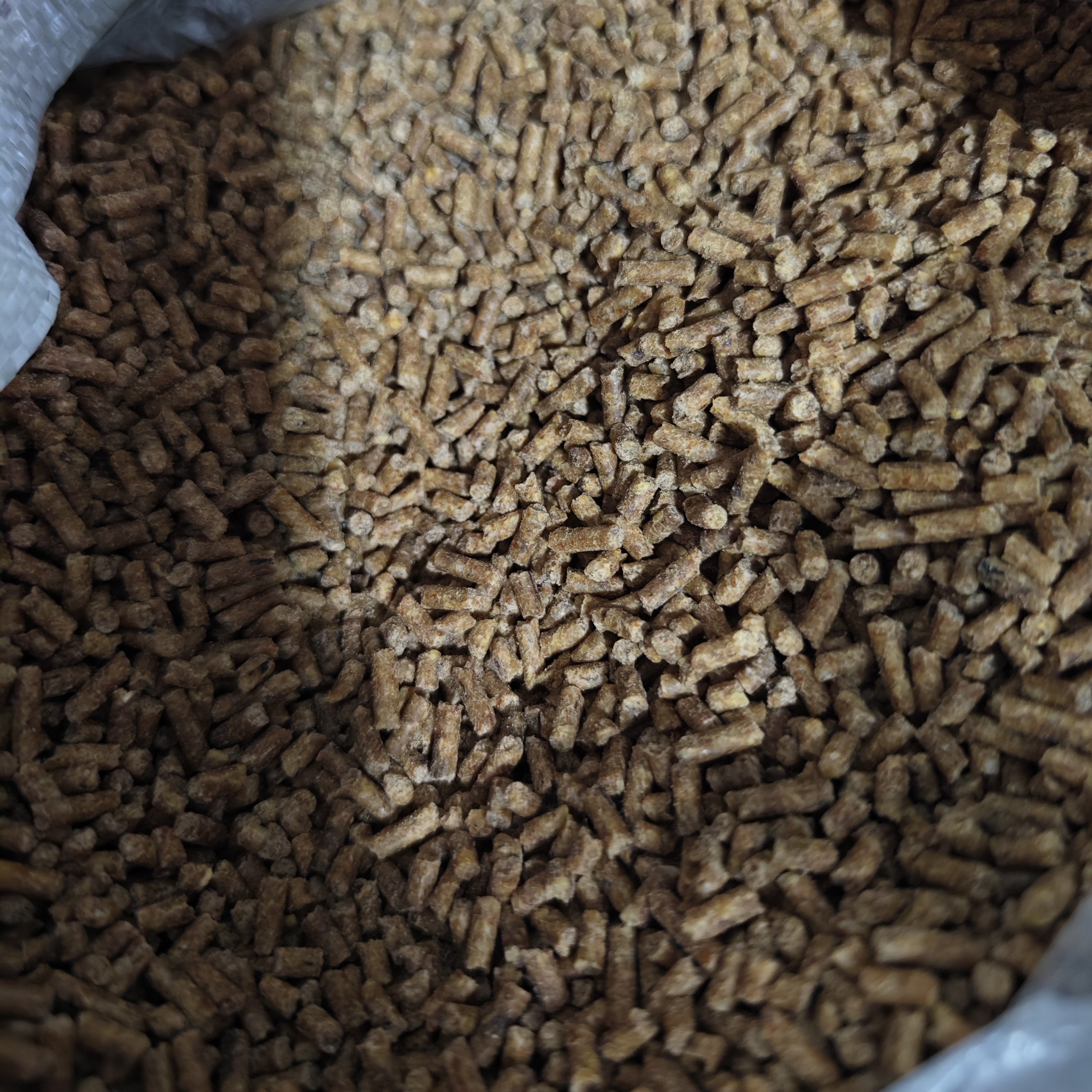 精选孔雀饲料养殖场专用