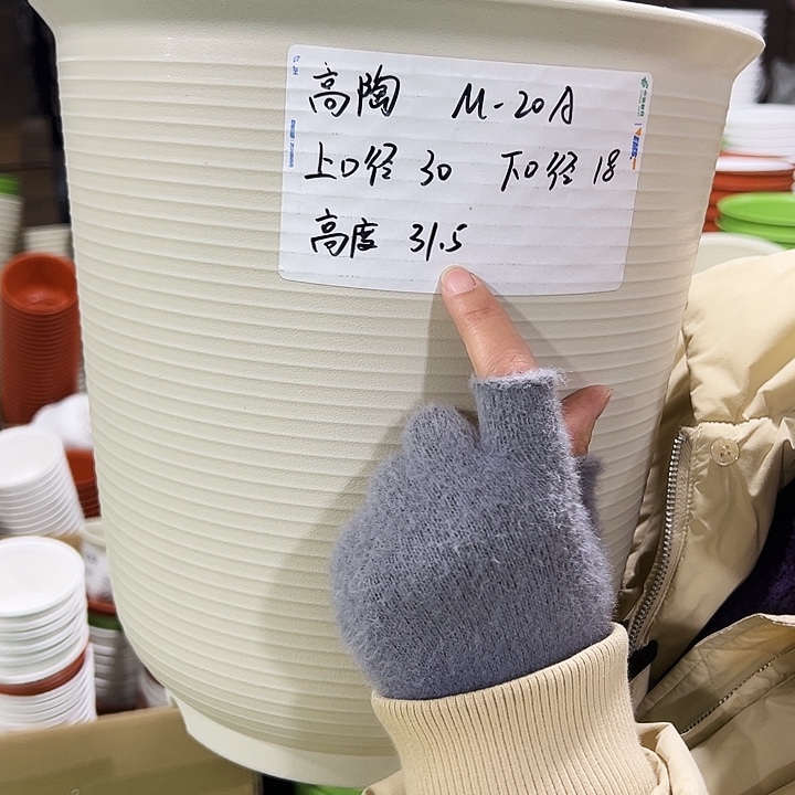 正品高陶口30高31白色无托3只