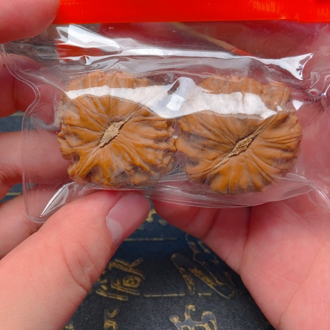 把件文玩核桃h*白狮子