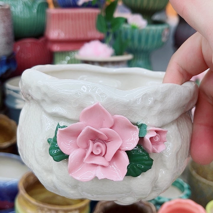 多肉植物陶瓷花盆