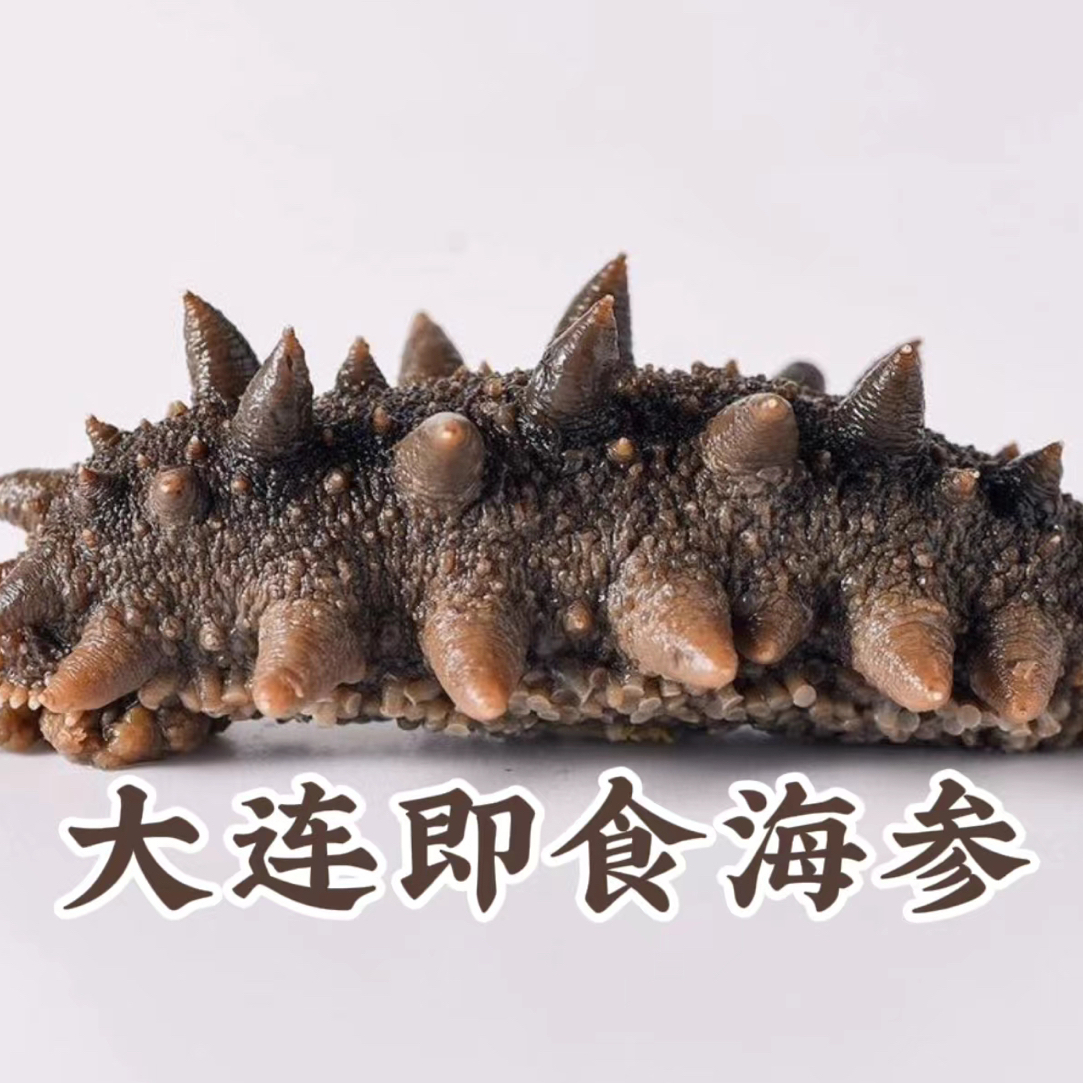 【4-6 头大海参 】【大连即食海参 】【已开价到手1斤】 冷冻保存
