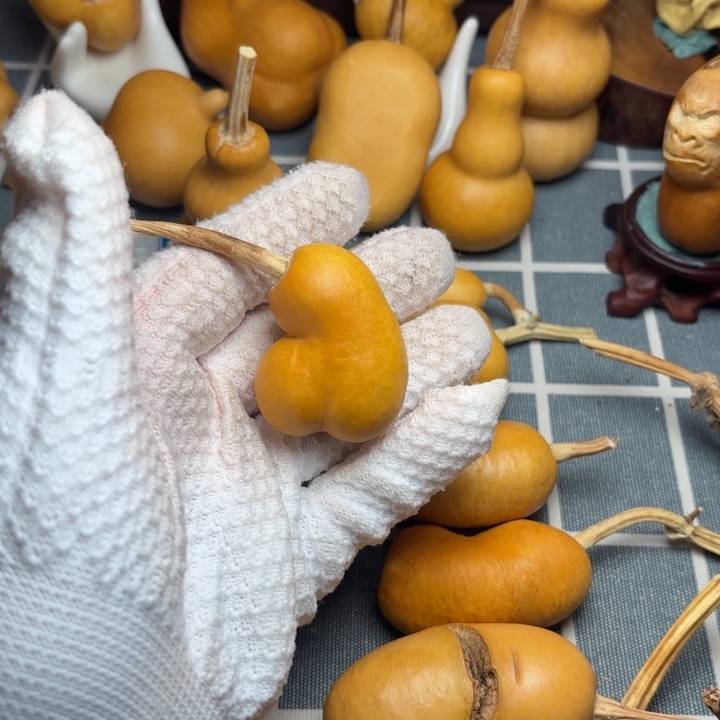 大***星葫芦66666666666666