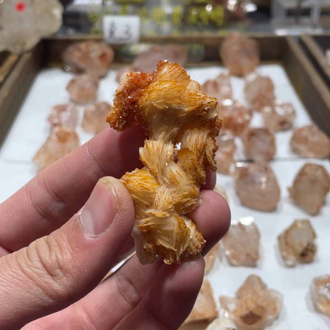 水晶、水晶、水晶未镶嵌水晶