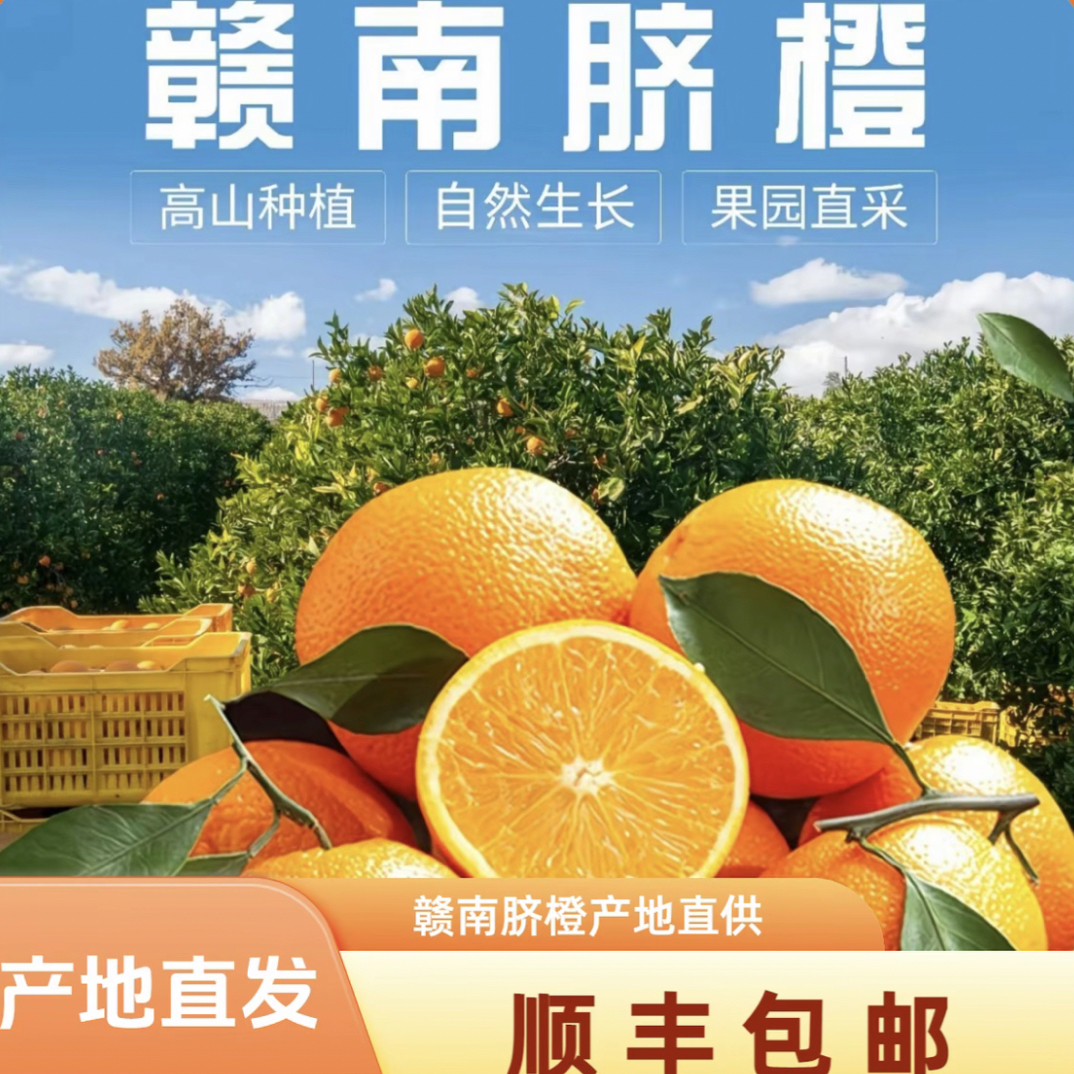 赣南脐橙应季水果新鲜多汁新鲜采摘产地直发包邮到家坏果包赔