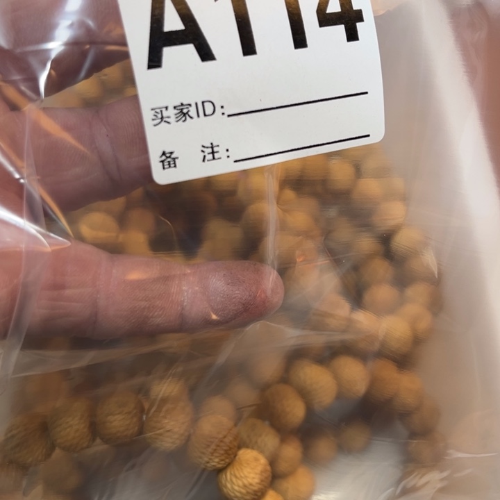 香榧木猴头龙鳞一条114