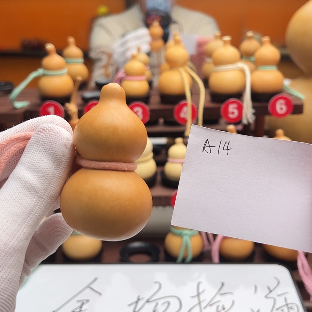 开***鱼老皮葫芦一物一拍小蔡