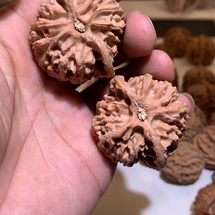 桃核把件沧***水精品苹果圆