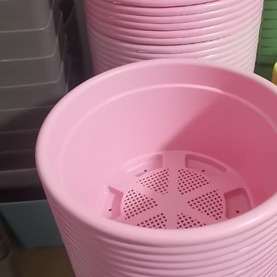 22口径矮胖多肉老桩盆3个盆