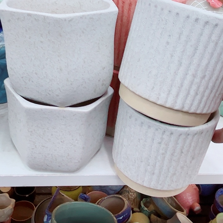 多肉植物陶瓷花盆