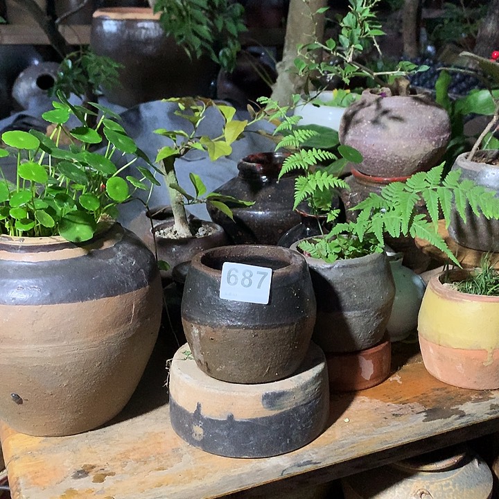 颈饰玻璃蕾000687