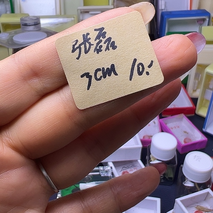 张***磊哈哈哈哈哈哈哈哈哈哈哈哈哈哈