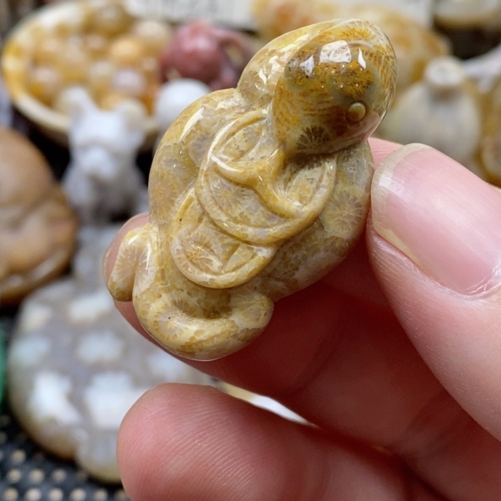 硅化珊瑚（珊瑚玉）颈饰未镶嵌小吊坠