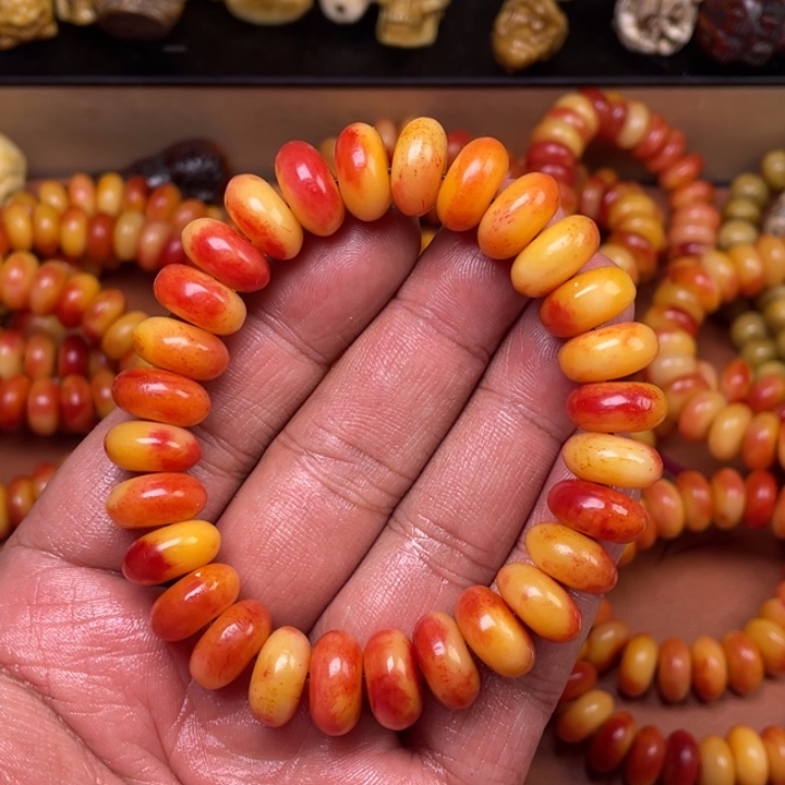 驼骨其他人工养殖