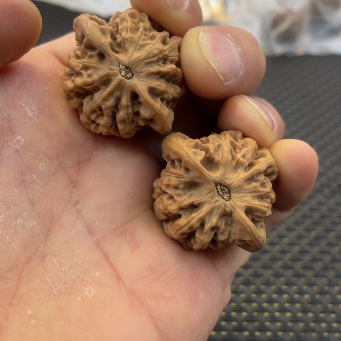 秦岭小王文玩核桃