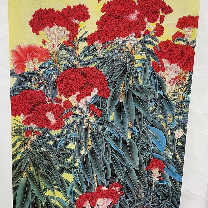 联诺画院漂亮画画画画