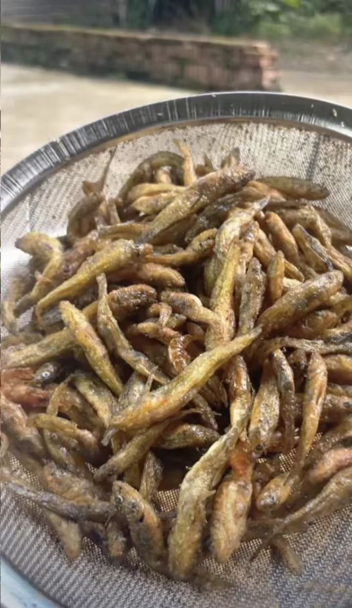 野生油炸小鱼干、