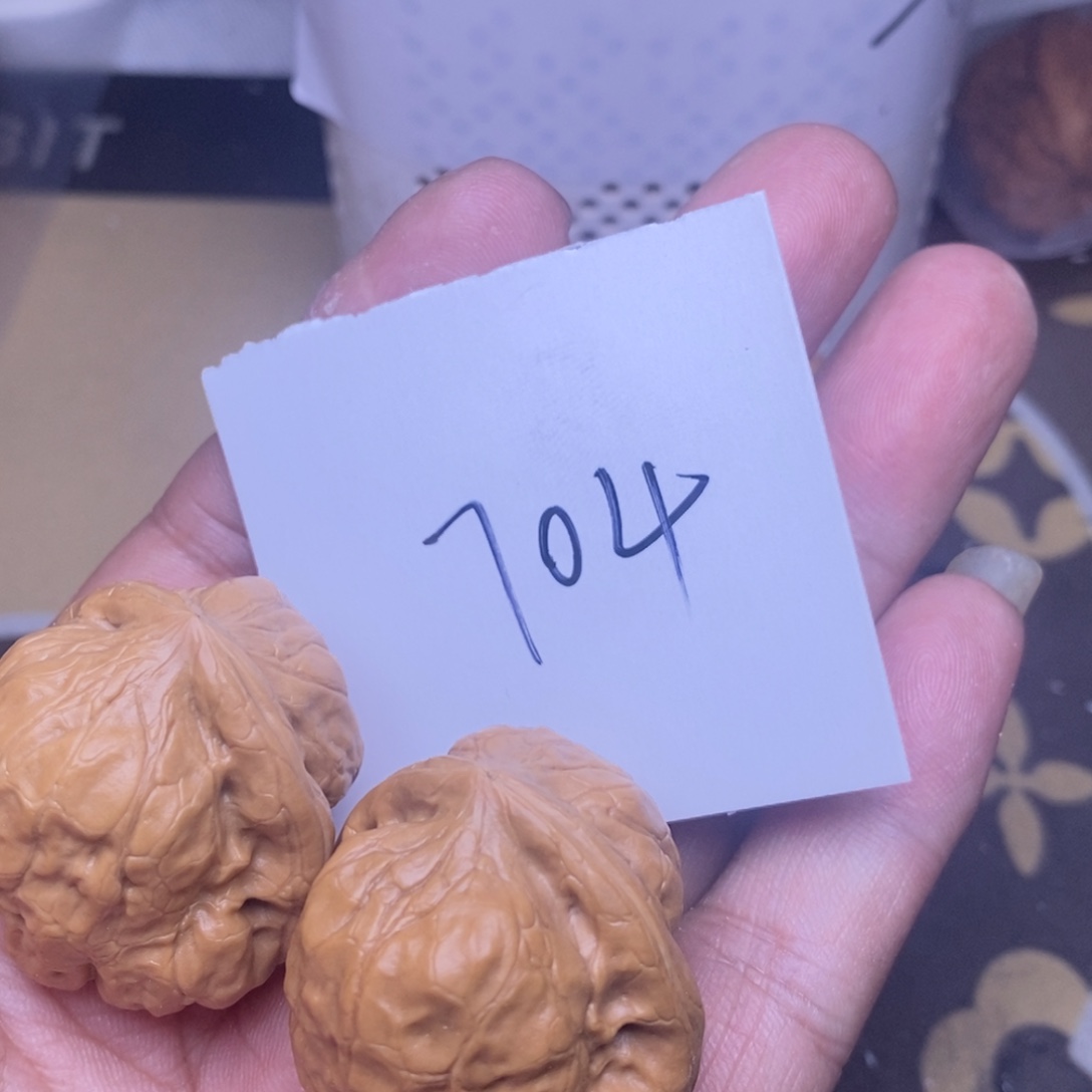 跳***符核桃古蟾尺寸33毫米