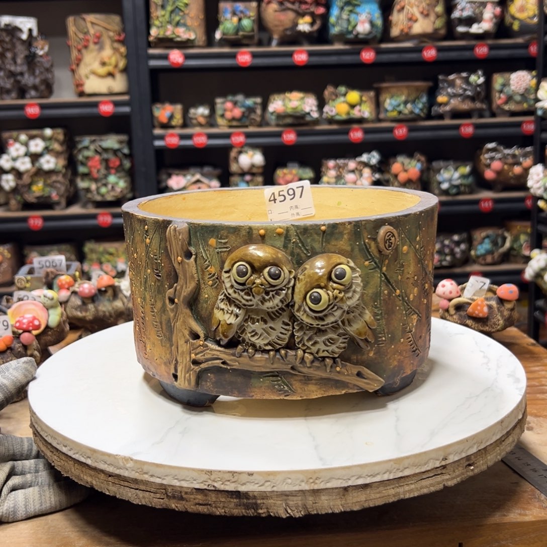 4597 号，内口1 9外高12