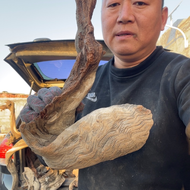 合***道柏木（崖柏）啊啊啊啊啊啊啊啊